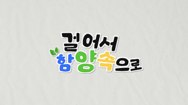 함양군 걸어서함양속으로 유튜브 영상 콘텐츠 제작