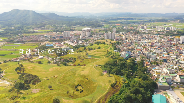 14ce0a07432f4aff43b8a64c1545637a_1766559