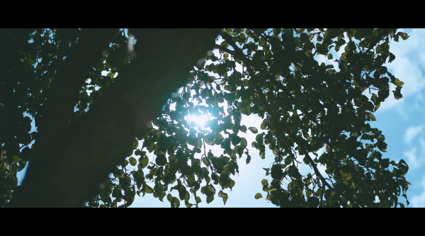 5bf733b9a76eff23ee9682a31dbc01ea_1766680